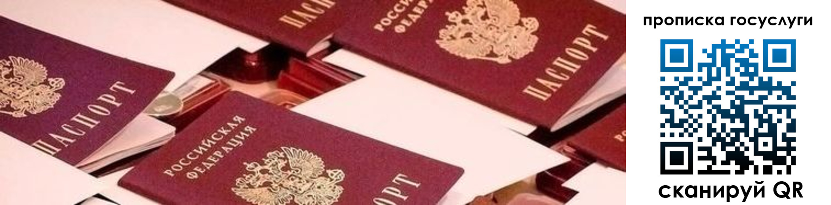регистрация в Донецке